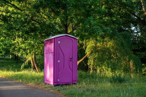 Portable Toilet Options We Offer in Lake Wynonah, PA